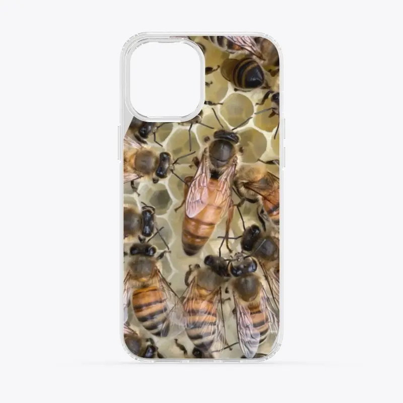 Queen Honey Bee collection 